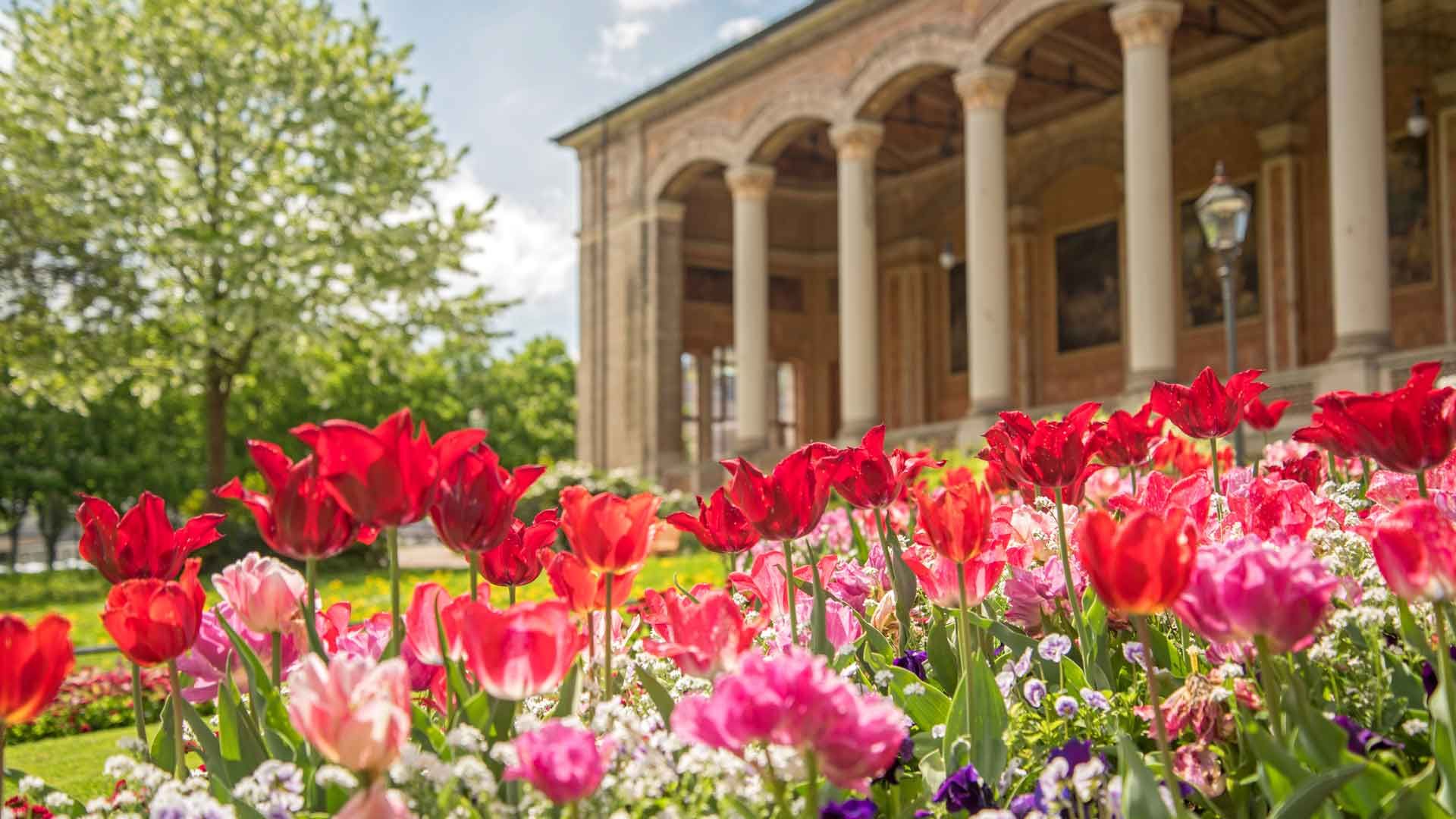 Tulpenmeer vor der Trinkhalle Baden-Baden